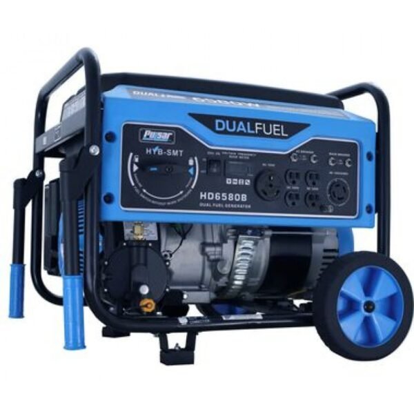 Pulsar Products Generator 6580 Watt Dual Fuel Portable